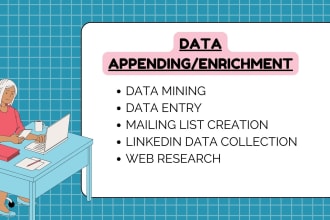 do data enrichment, management, mining and data entry
