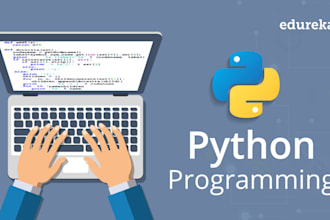 provide editing, reviewing and debuging python program