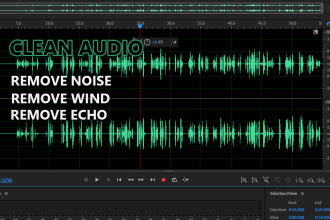 remove wind, noise, echo and clean your audio
