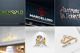design a premium brand identity logo and branding kit