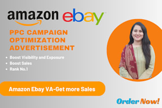 setup optimized and manage amazon, ebay PPC campaigns and marketing