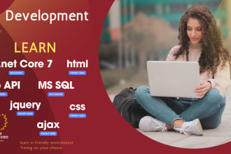 tutor or teach you web development asp dot net core