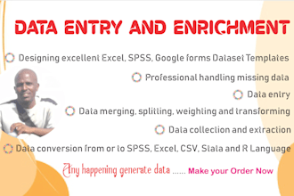 do data entry, cleaning, fix missing and conversion