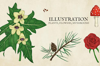 create illustration of plants, flowers, fruits and mushrooms