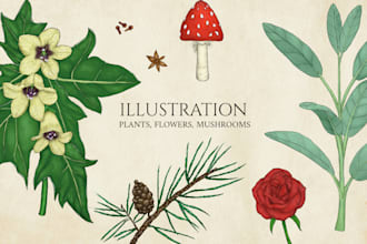 create illustration of plants, flowers, fruits and mushrooms