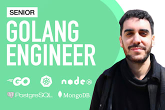 develop your golang project