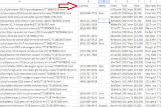 scrap craigslist phone number, email and other type of leads
