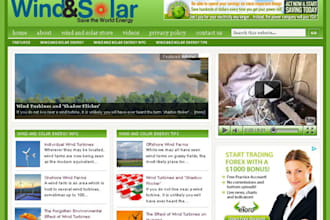 sell you a money making wordpress website