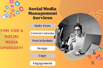 be your instagram social media manager personal assistant