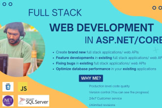 develop, customize asp net mvc, asp net web api