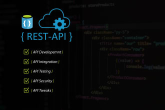 do API development, integration and testing