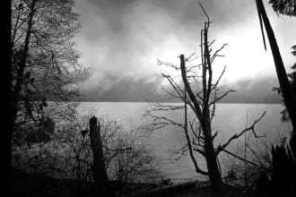 produce sad and depressive instrumental music