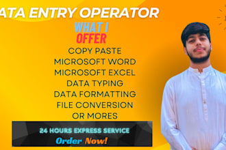 do copy paste, microsoft excel, microsoft word, data typing or more
