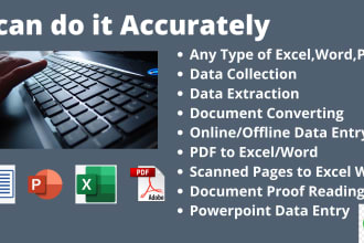 do excel data entry,word data entry, PDF to excel data entry