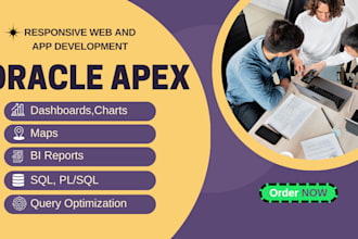 optimize plsql, sql query, apex, oracle, api, javascript, db design, bi reports