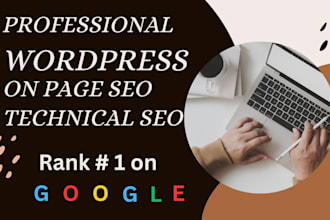 do on page SEO for wordpress shopify and wix website