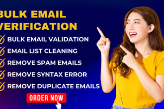 provide bulk email verification, validation, cleanup and error remove services