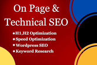 do professional on page SEO optimization and wordpress