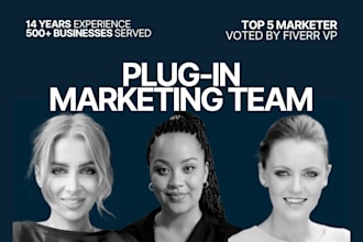 be your cmo, marketing director and plugin expert marketing team