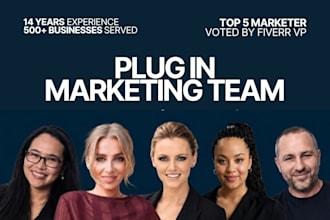 be your cmo, marketing director and plugin expert marketing team