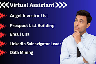 prospect list building email list and data mining expert