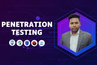 web penetration testing,  vulnerability assessment with professional reports