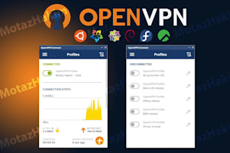 configure your own VPN and give lifetime support for VPN maintance