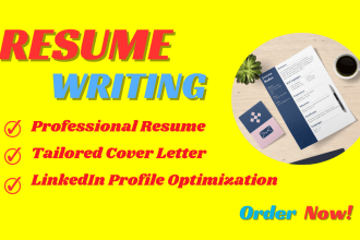 deliver 12 hours professional resume maker and tech cv writing service