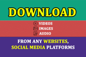 grab downloadable videos, images, and audio from websites