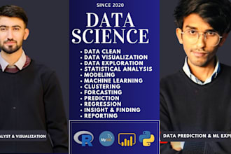 be data science and statistics project in python, r, power bi