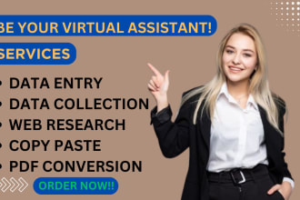 do data entry, copy paste and web scraping for you