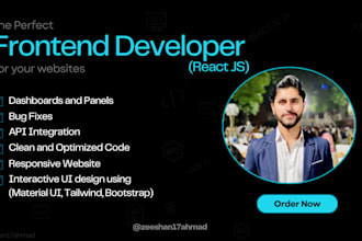 be your reactjs nextjs frontend website developer