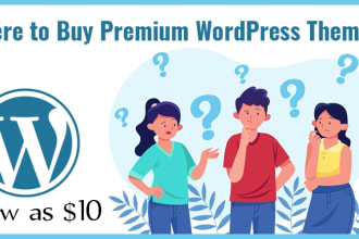 install any premium wordpress theme or plugin