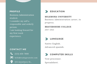 design professional resume and CV templates