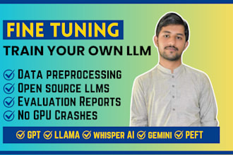 do llm finetuning on your dataset
