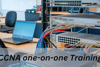teach ccna courses online