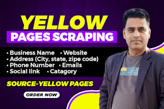 any yellow pages scraping, web scraper, amazon  web scraping
