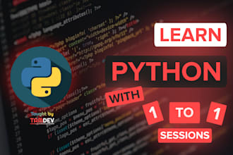 teach you how to code in python
