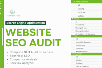 provide you seo audit of your website
