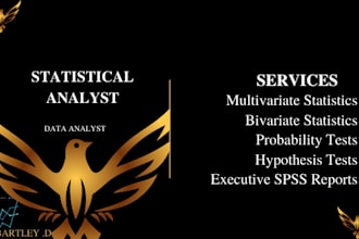 do statistical analysis, statistical tests, econometrics in spss, python, r