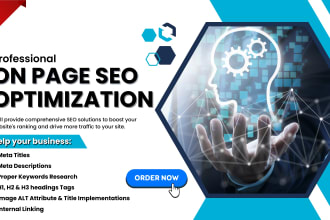 do professional on page SEO and technical optimization