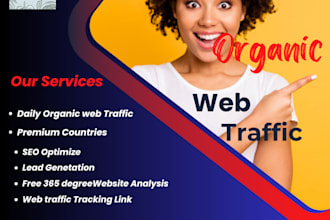 provide organic web traffic to USA europe