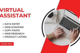 be your virtual assistant live chat support