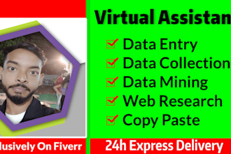 do perfect data entry, web research and copy paste