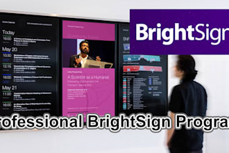 program brightsign for your digital signage
