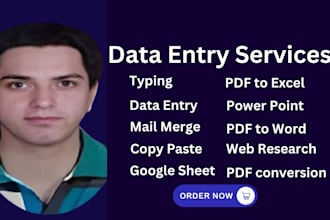 do accurate data entry, copy paste, typing, web scraping, google maps