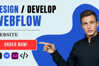 design, redesign, develop, or fix your webflow website