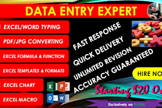 do data entry, typing, microsoft excel and office job