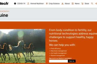 equestrian website horse riding website pet animal website horse leads ebooking