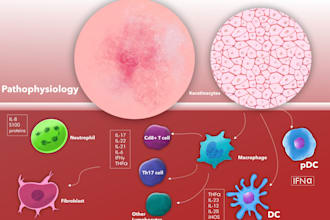 create a graphical abstract for your research article   or presentation